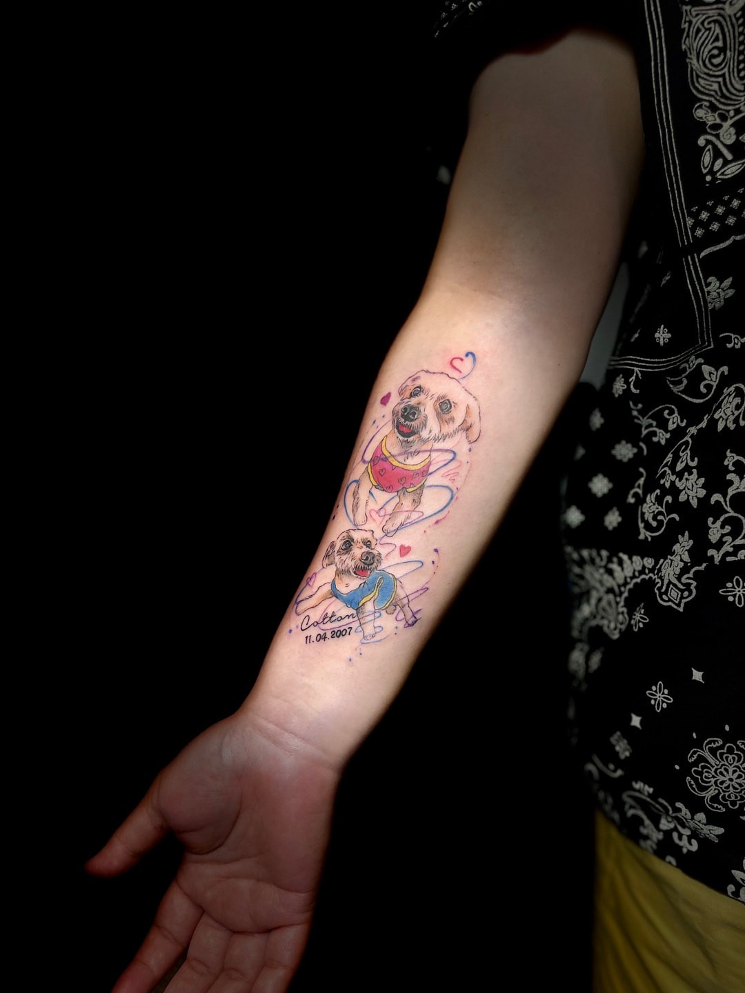 carousel chooser